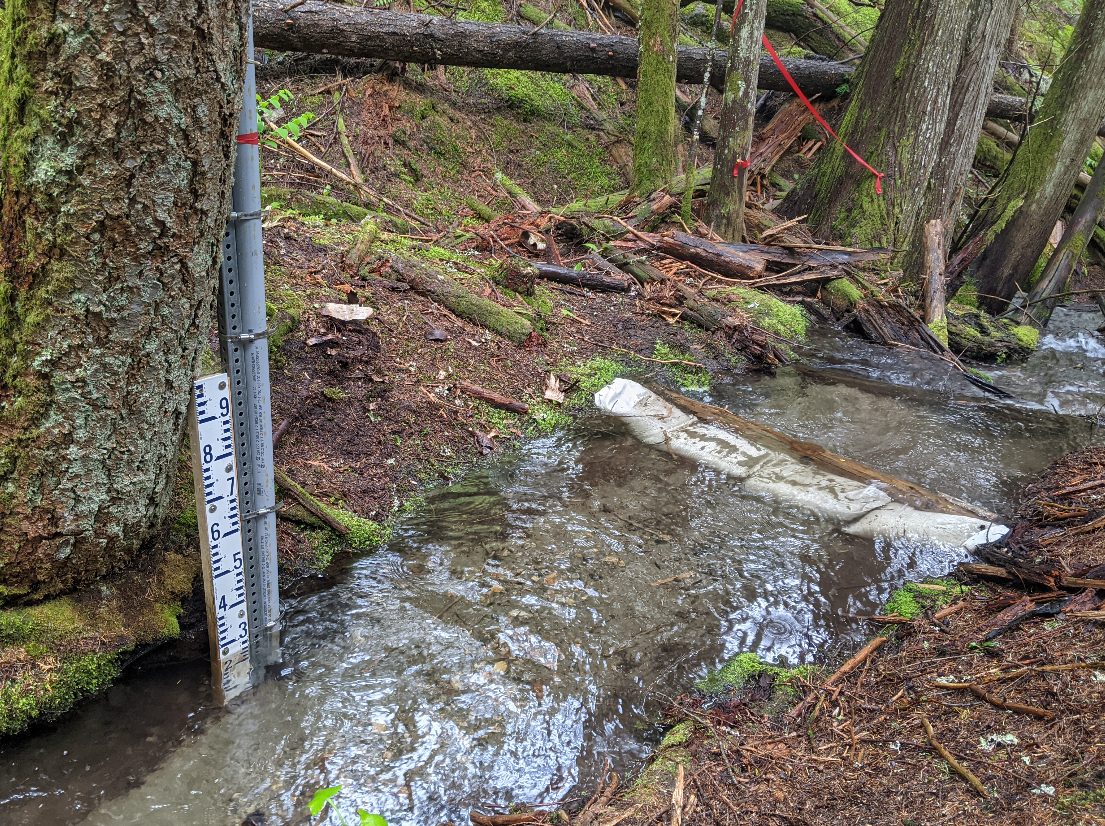 Ross Creek